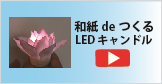 adeLEDLhCg