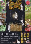 江戸のあかりと灯用植物